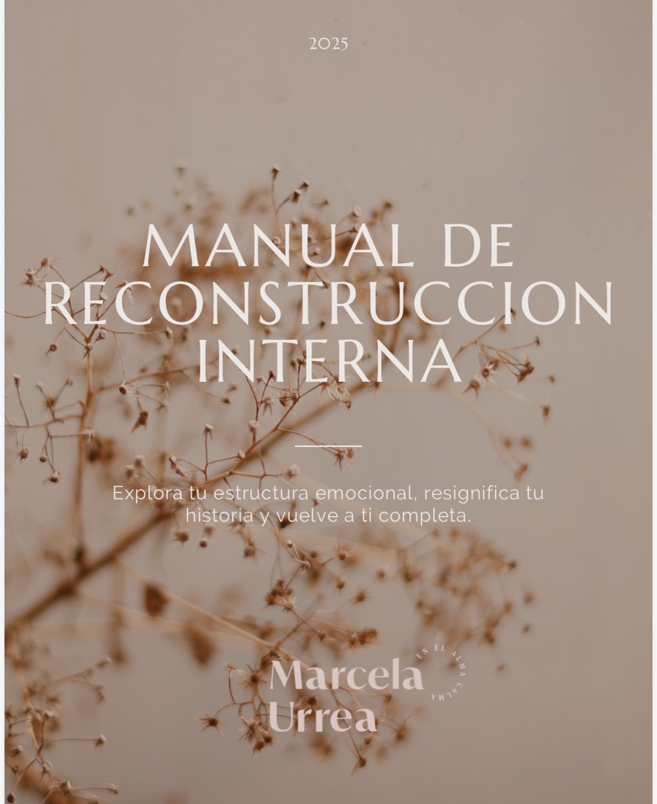 Manual de reconstrucción interna